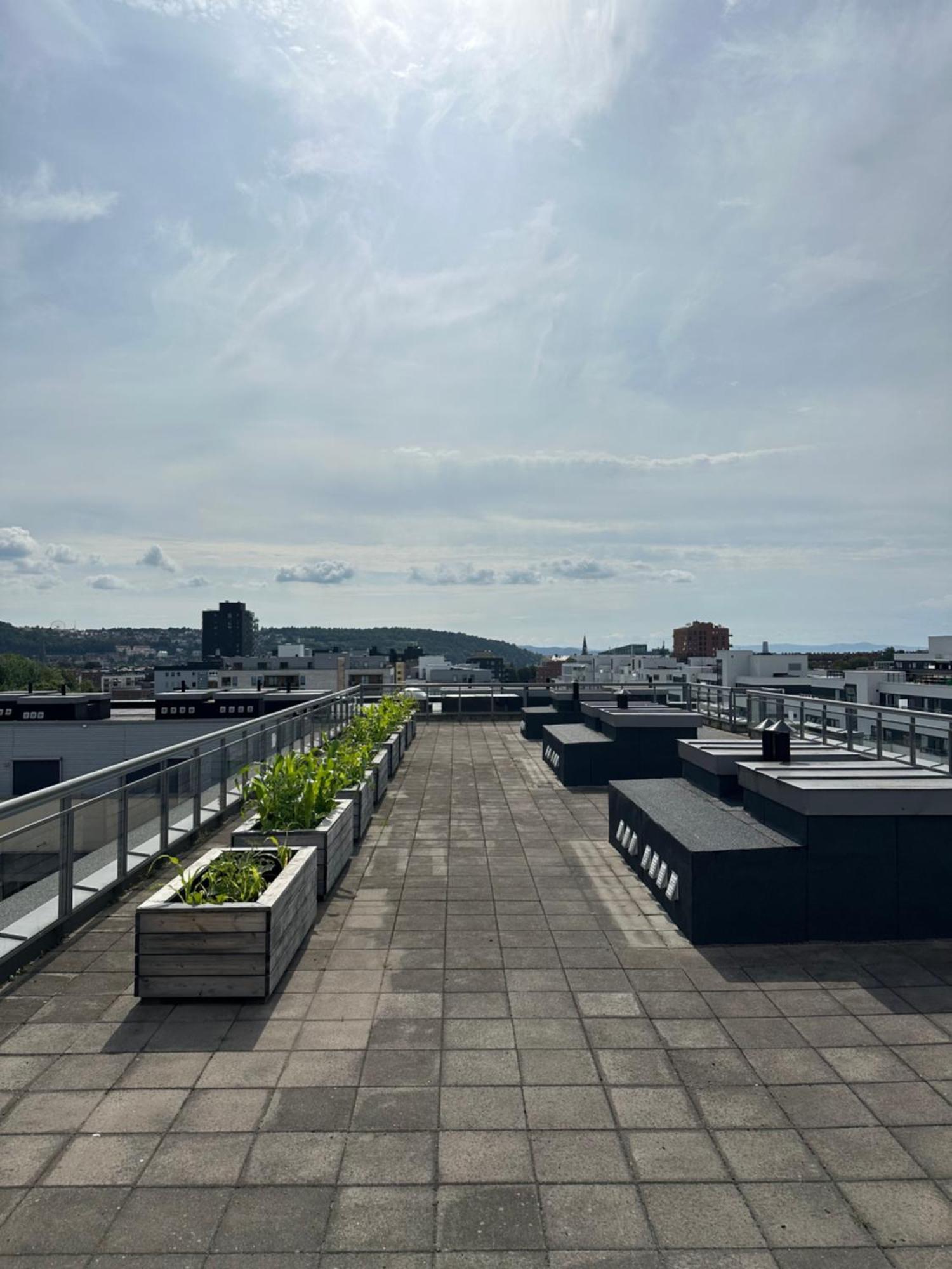 Moderne I Gamle Lejlighed Oslo